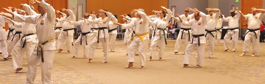 Article: Okinawan Karate Prioritizes Outcome over Form: Japanese Karate-do Does the Opposite
